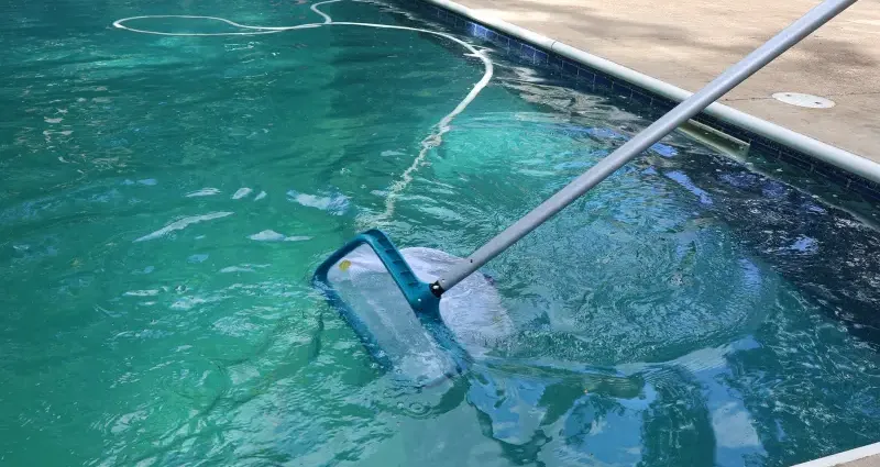 Blue Wave employees cleaning a client pool.