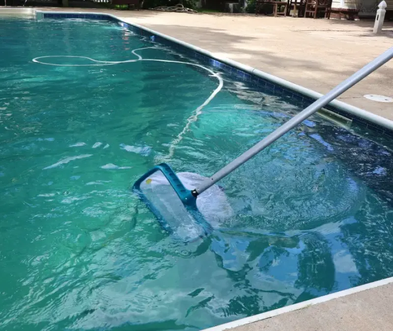 Blue Wave employees cleaning a client pool.